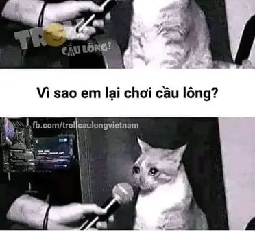 Tổng Hợp Ảnh Cầu Lông Hài Hước: Khoảnh Khắc “dở Khóc Dở Cười” Cho Lông Thủ
