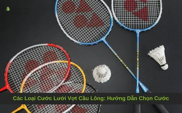 Các Loại Lưới Vợt Cầu Lông: Hướng Dẫn Chọn Cước Tốt Nhất