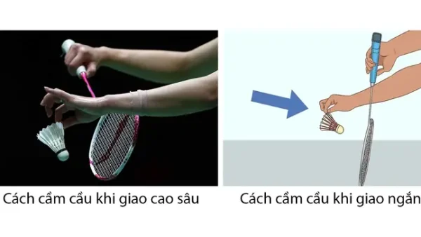 Hướng Dẫn Chi Tiết Các Cách Cầm Vợt Cầu Lông Chuẩn Kỹ Thuật Cho Mọi Đối Tượng