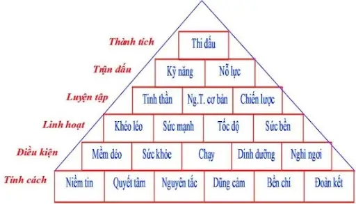 10+ Bí Quyết Nâng Cao Kỹ Năng Chơi Cầu Lông Giỏi Cho Mọi Cấp Độ