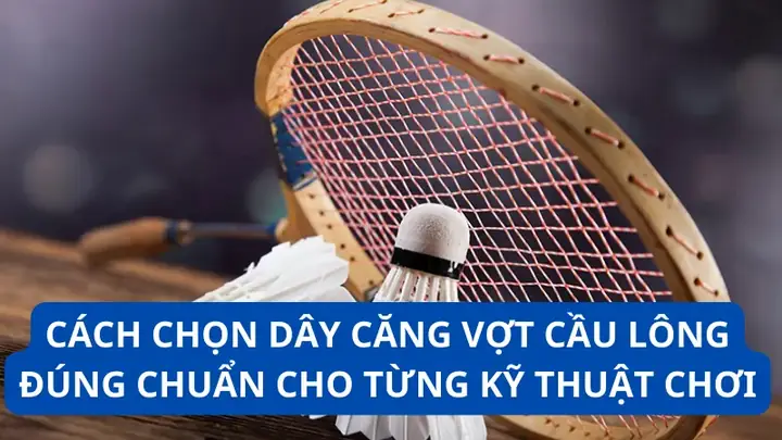Hướng Dẫn Chọn Dây Căng Vợt Cầu Lông Phù Hợp: Từ A-Z Cho Mọi Trình Độ