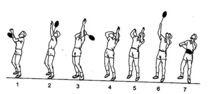 Hướng Dẫn Kỹ Thuật Lốp Cầu Lông Chi Tiết Cho Người Mới Bắt Đầu & Nâng Cao