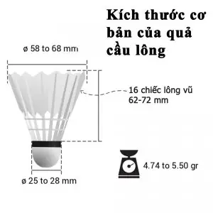 Quả Cầu Lông Bao Nhiêu Lông? Cấu Tạo Tiêu Chuẩn & Thông Số Chi Tiết
