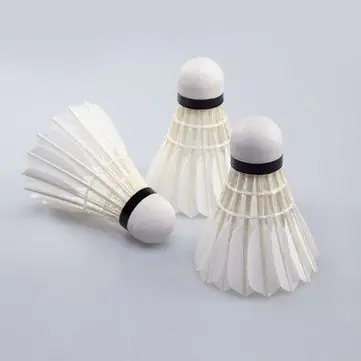 Cầu Lông Bao Nhiêu Tiền? Bảng Giá Chi Tiết Theo Loại Và Thương Hiệu