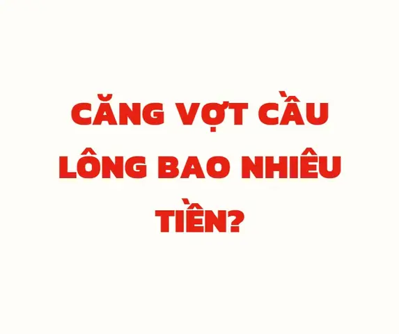 Cầu Lông Bao Nhiêu Tiền? Bảng Giá Chi Tiết Theo Loại Và Thương Hiệu