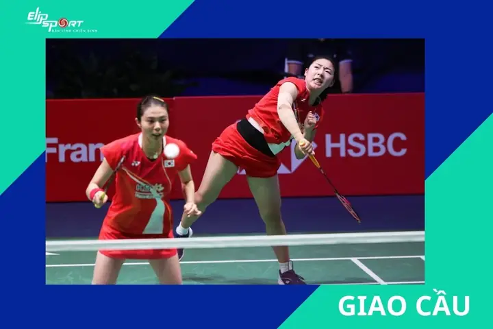 Cầu Lông Đôi Nữ: Luật Chơi, Kỹ Thuật Hiệu Quả & Bảng Xếp Hạng Mới Nhất