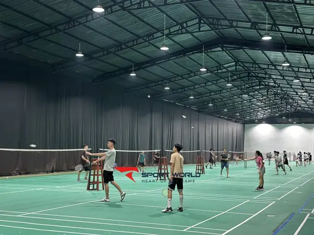 Cầu Lông Bao Nhiêu Tiền 1 Hộp? Báo Giá Mới Nhất & Các Loại Phổ Biến Cầu Lông Bao Nhiêu Tiền 1 Hộp? Báo Giá Mới Nhất & Các Loại Phổ Biến