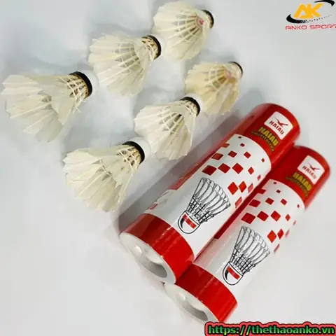 Top 5 Loại Cầu Lông Hải Yến Tốt Nhất & Cách Chọn Phù Hợp