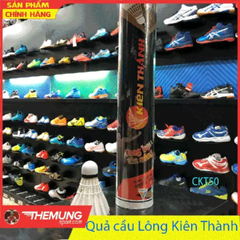 Quả Cầu Lông Kiên Thành: Đặc Điểm, Giá & Địa Chỉ Mua Uy Tín