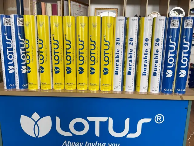 Quả Cầu Lông Lotus: Đánh Giá Chi Tiết & Lựa Chọn Tốt Nhất