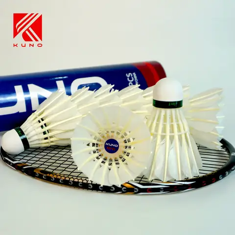 Cầu Lông Nhựa Có Tốt Không? Ưu Nhược Điểm & Có Nên Sử Dụng Không