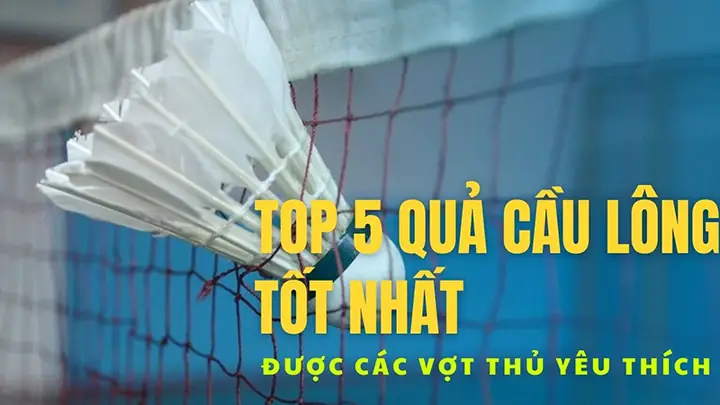 Top 7 Quả Cầu Lông Tốt Nhất Hiện Nay: Hướng Dẫn Chọn Cầu Bền Bỉ, Bay Chuẩn