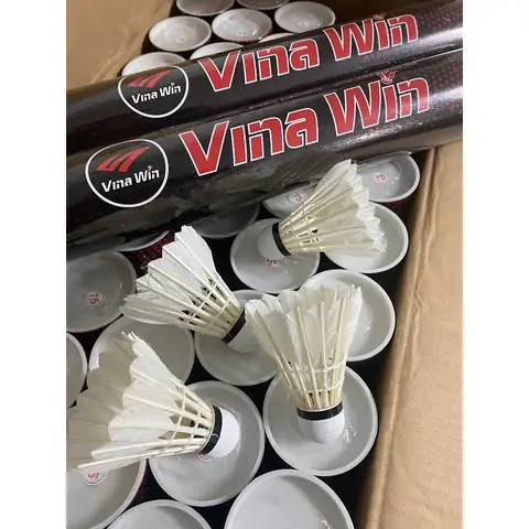 Cầu Lông Vinawin: Review Chi Tiết Ống Cầu Lông & Kinh Nghiệm Chọn Mua