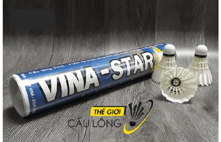 Cầu Lông Vina Star: Đánh Giá Chi Tiết, Các Loại Phổ Biến & Địa Điểm Mua Chính Hãng