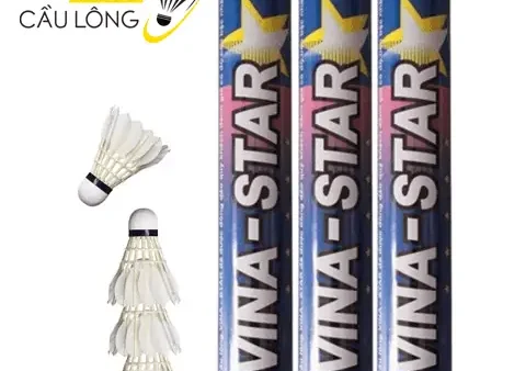 Cầu Lông Vina Star Xanh: Đánh Giá, Ưu Điểm Và Nơi Mua Chính Hãng