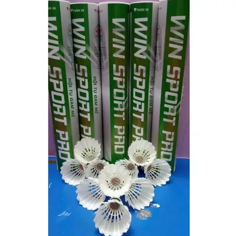 Cầu Lông Win Sport: Thông Tin Chi Tiết Về Giá, Chất Lượng Và Nơi Mua