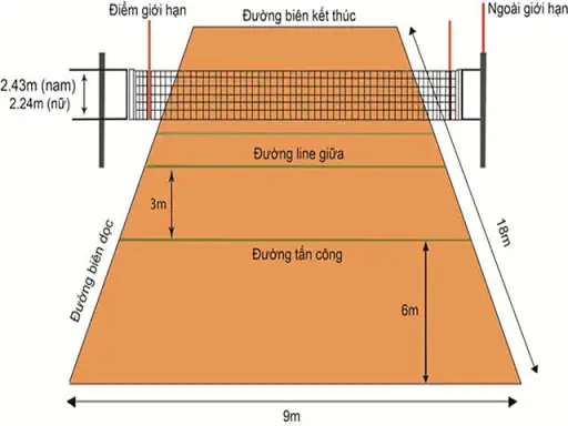 Chiều Cao Lưới Sân Cầu Lông Chuẩn Theo Quy Định Quốc Tế (BWF)