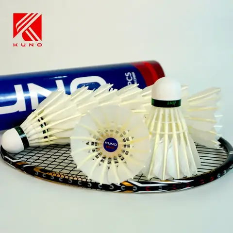 Chơi Cầu Lông Cần Những Gì? Danh Sách Dụng Cụ Thiết Yếu Cho Người Mới Bắt Đầu