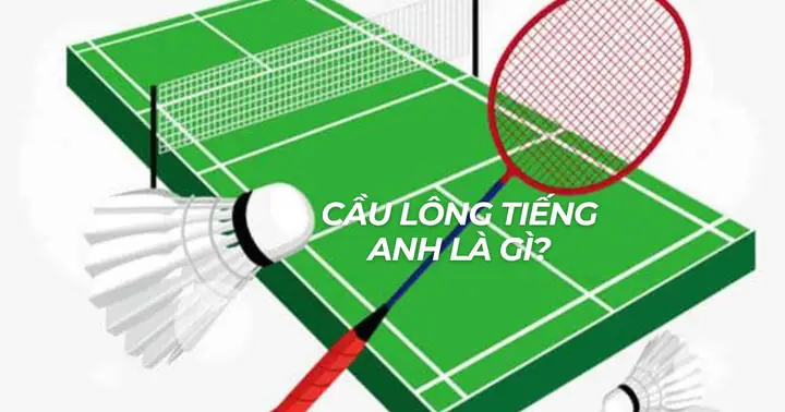 Chơi Cầu Lông Tiếng Anh Là Gì? Cách Phát Âm Và Thuật Ngữ Liên Quan