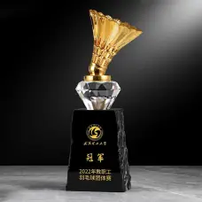 Cúp Cầu Lông Giá Rẻ: Mẫu Đẹp, Chất Lượng, Giá Tốt Toàn Quốc
