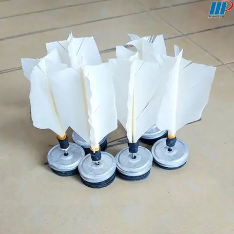 Đá Cầu Lông: Hướng Dẫn Chi Tiết Từ Kỹ Thuật Đến Sân Chơi Chuẩn