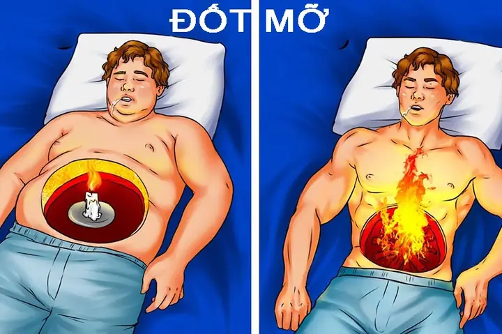 Đánh Cầu Lông Tốn Bao Nhiêu Calo? Lợi Ích Giảm Cân Bất Ngờ