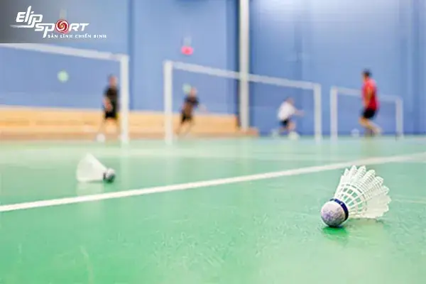 Danh Sách Sân Cầu Lông TP.HCM: Tổng Hợp Địa Điểm Chất Lượng & Giá Tốt Nhất