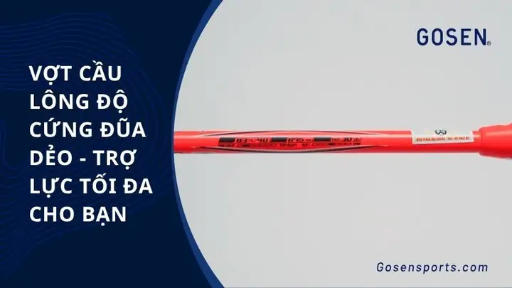 Độ Cứng Vợt Cầu Lông: Yếu Tố Quan Trọng Quyết Định Lối Chơi Và Hiệu Suất
