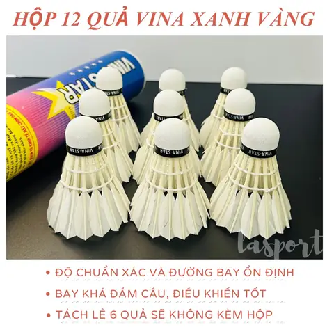 Giá 1 Hộp Cầu Lông Ba Sao: Mua Ở Đâu, Bao Nhiêu Tiền, Loại Nào Tốt?