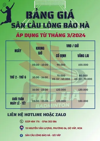 Giá Cầu Lông Bao Nhiêu Tiền: Cập Nhật Mới Nhất 2024 & Lưu Ý Chọn Mua
