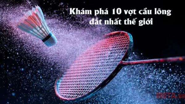 Khám Phá “giá Vợt Cầu Lông Đắt Nhất Thế Giới”: Ai Đang Giữ Ngôi Vương?
