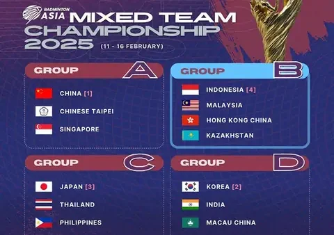 Giải Cầu Lông Đồng Đội Hỗn Hợp Thế Giới: Sudirman Cup Và Các Giải Đấu Quan Trọng