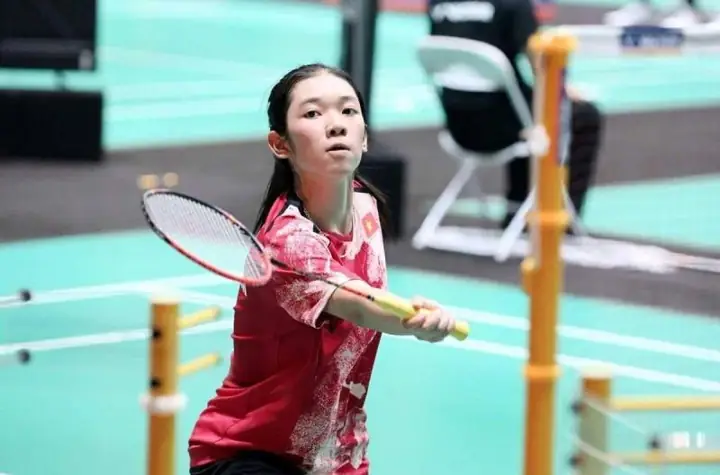 Giải Cầu Lông Đồng Đội Hỗn Hợp Thế Giới: Sudirman Cup Và Các Giải Đấu Quan Trọng