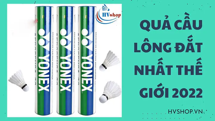 Giày Cầu Lông Đắt Nhất Thế Giới: Khám Phá Các Siêu Phẩm Cao Cấp & Tiêu Chí Chọn Lựa Giày Cầu Lông Đắt Nhất Thế Giới: Khám Phá Các Siêu Phẩm Cao Cấp & Tiêu Chí Chọn Lựa