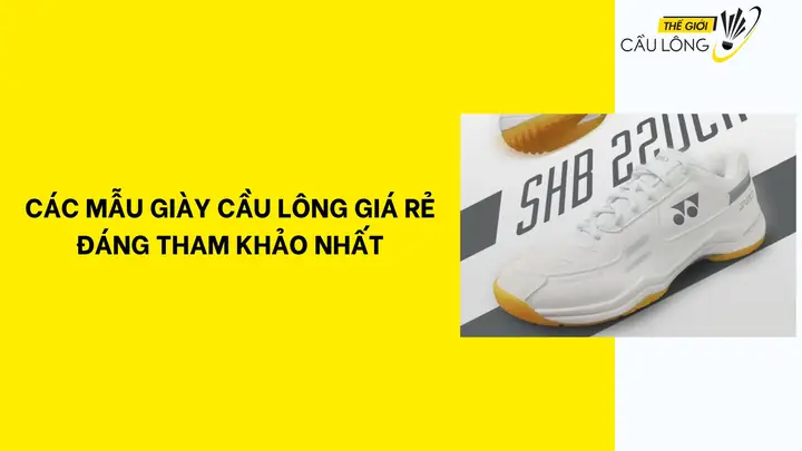 Giày Cầu Lông Đắt Nhất Thế Giới: Khám Phá Các Siêu Phẩm Cao Cấp & Tiêu Chí Chọn Lựa Giày Cầu Lông Đắt Nhất Thế Giới: Khám Phá Các Siêu Phẩm Cao Cấp & Tiêu Chí Chọn Lựa