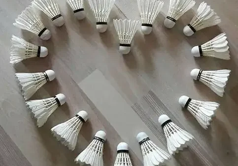 Tuyển Tập Hình Ảnh Quả Cầu Lông Đẹp Nhất: Từ Sân Đấu Đến Thiết Kế