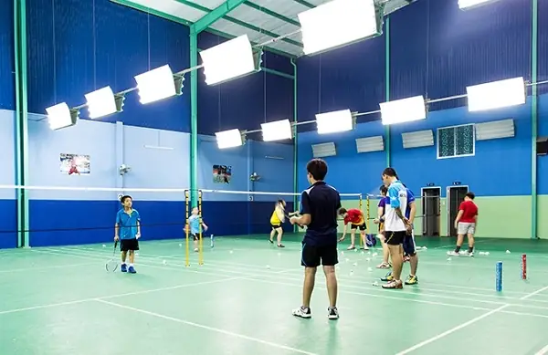 Học Cầu Lông: Tìm Lớp, HLV Và Lộ Trình Cho Người Mới Bắt Đầu