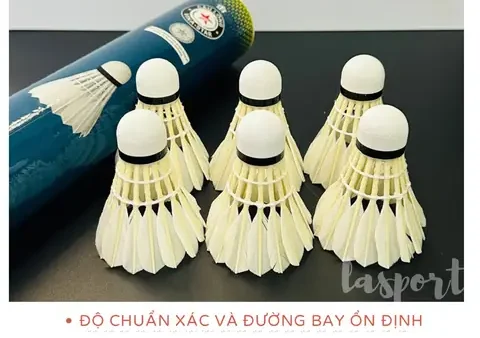 Hộp Cầu Lông Giá Rẻ: Tiêu Chí Chọn Mua, Bảng Giá & Các Loại Phổ Biến Hiện Nay