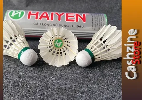 Hộp Cầu Lông Hải Yến: Chọn Mẫu Nào Tốt Nhất Cho Bạn?