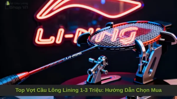 Hướng Dẫn Chọn Vợt Cầu Lông Phù Hợp Nhất Cho Mọi Trình Độ
