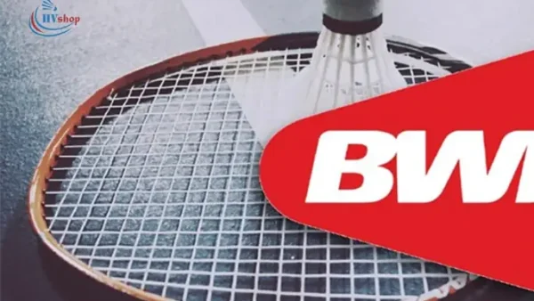 Liên Đoàn Cầu Lông Thế Giới (BWF): Tổng Quan, Lịch Sử Và Các Giải Đấu Chính Thức