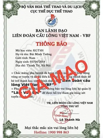 Liên Đoàn Cầu Lông Việt Nam (VBF): Vai Trò, Chức Năng Và Hoạt Động Phát Triển Môn Thể Thao