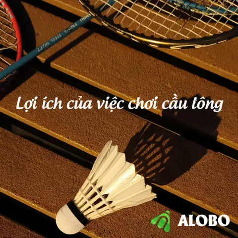 Lợi Ích Toàn Diện Của Chơi Cầu Lông Đối Với Sức Khỏe Thể Chất Và Tinh Thần Lợi Ích Toàn Diện Của Chơi Cầu Lông Đối Với Sức Khỏe Thể Chất Và Tinh Thần