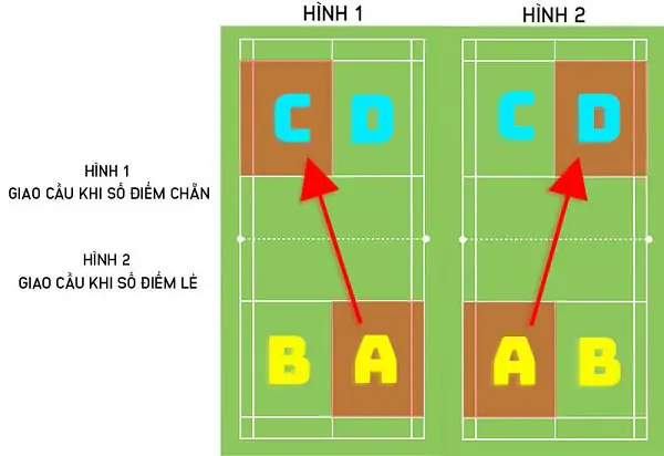 Luật Cầu Lông Đôi: Hướng Dẫn Chi Tiết Từ Giao Cầu Đến Tính Điểm