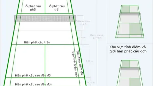 Luật Giao Cầu Lông Đơn Chi Tiết: Quy Định Chuẩn BWF Dành Cho Người Mới