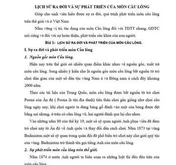 Lý Thuyết Cầu Lông: Kiến Thức Cơ Bản Và Luật Chơi Chi Tiết Cho Người Mới