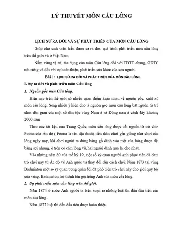 Lý Thuyết Cầu Lông: Kiến Thức Cơ Bản Và Luật Chơi Chi Tiết Cho Người Mới