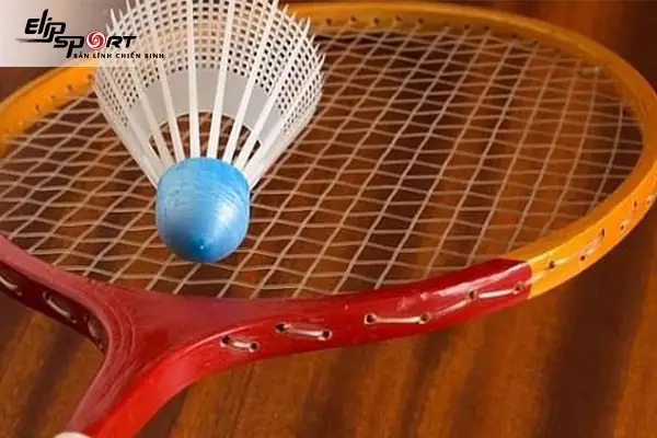 Mua Bán Vợt Cầu Lông Cũ Giá Tốt Uy Tín Tại TPHCM | Kinh Nghiệm Chọn Mua