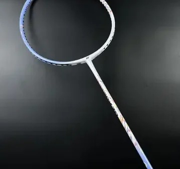Mua Vợt Cầu Lông Chính Hãng Ở Đâu Uy Tín? Hãng Nào Tốt Nhất 2026