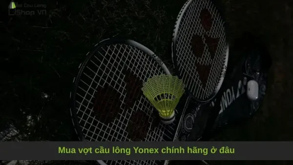 Mua Vợt Cầu Lông Chính Hãng Ở Đâu Uy Tín, Chất Lượng Toàn Quốc?